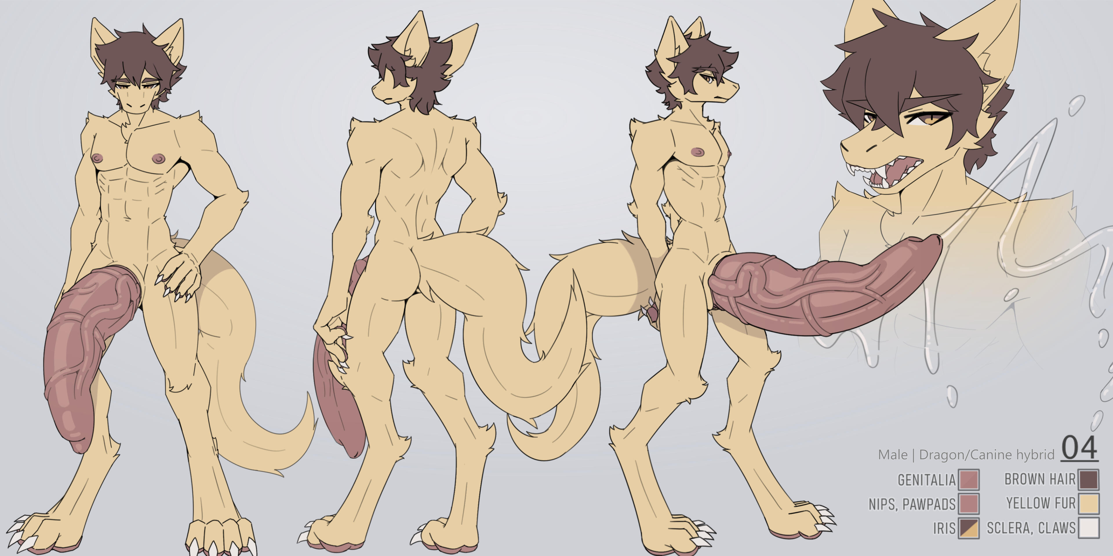 04modelsheet